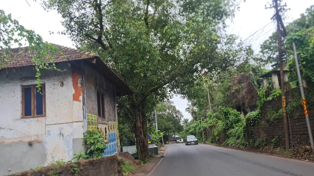 Mizhi Eye Care Thalassery
