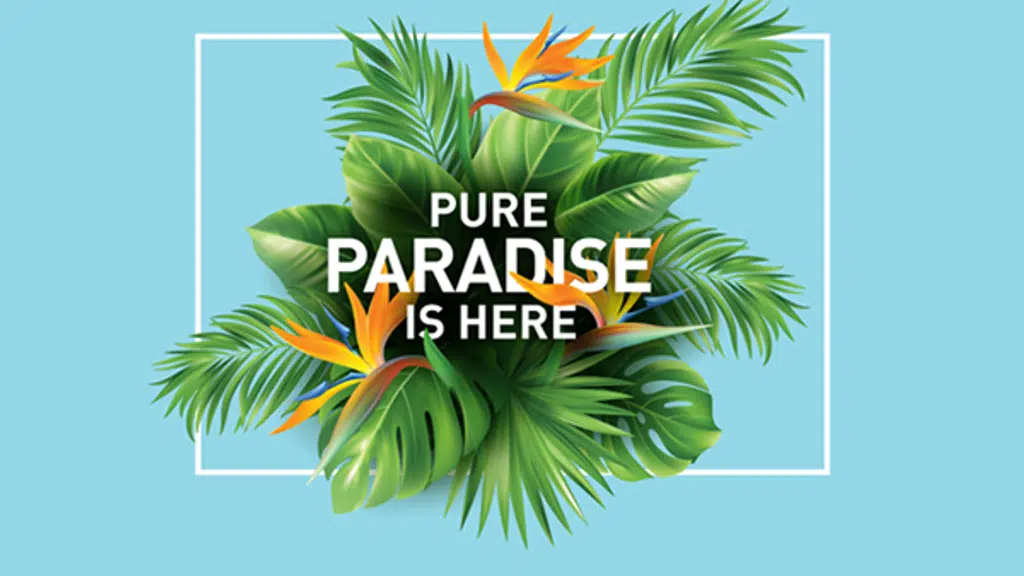 121 Paradise