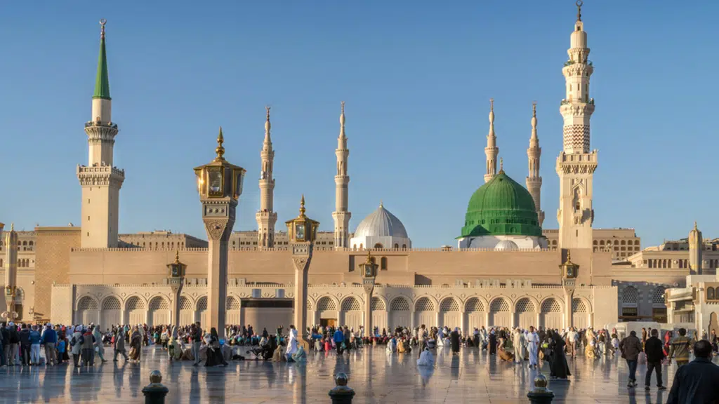 Masoom Tours and Travels