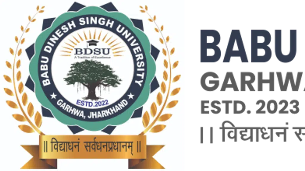 Babu Dinesh Singh University