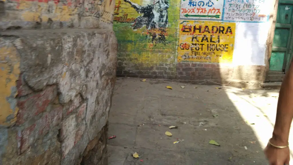 The Taste of Kashi