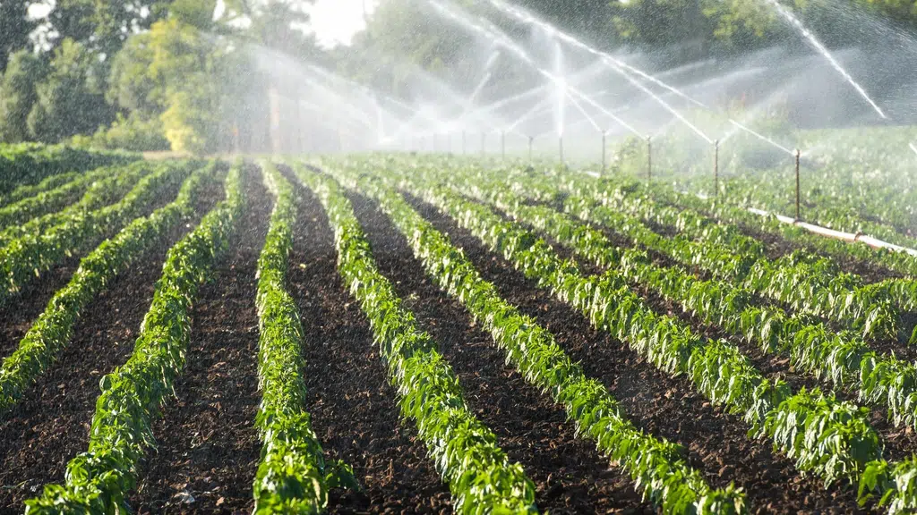 Ishwari Drip Irrigation