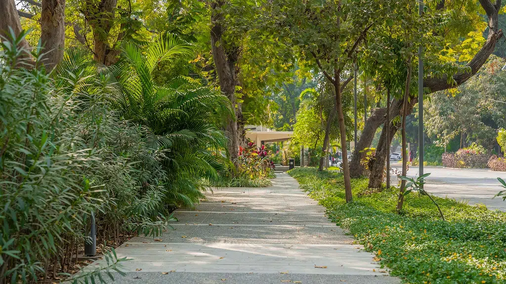 Alembic City