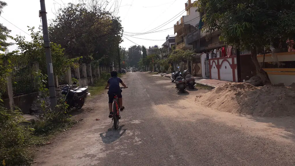 Shree Homoeo Clinic