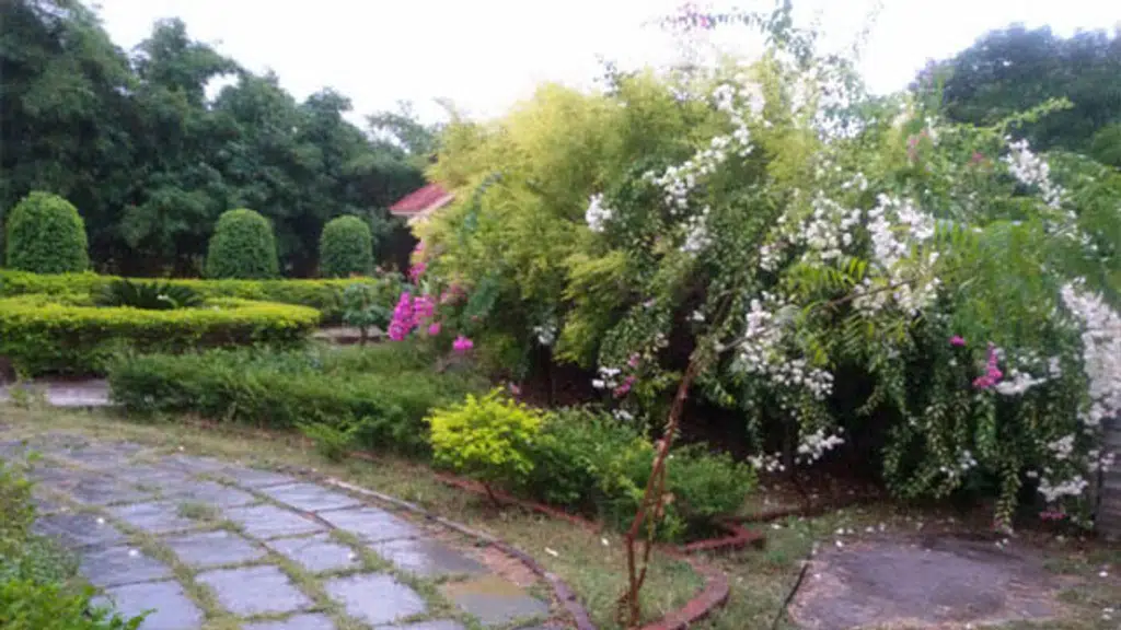 Farmhouse Near Nagpur