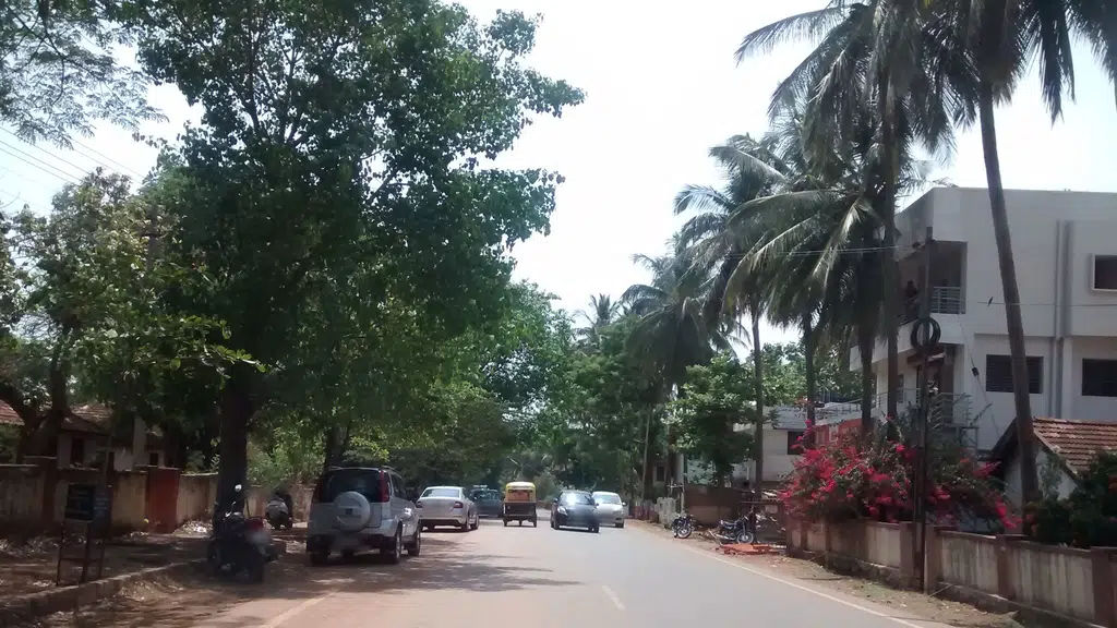 Forest Department Quarters