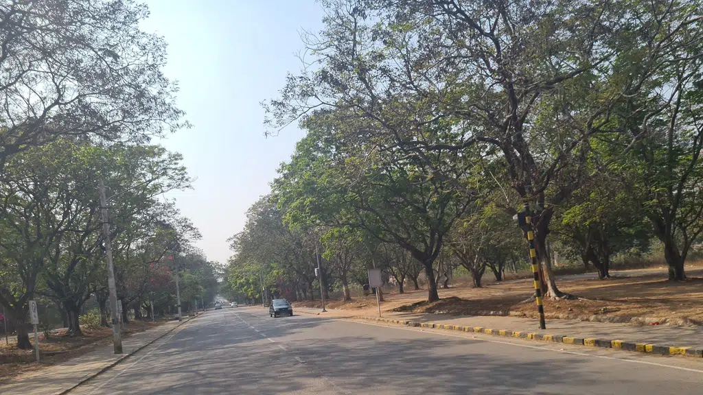 Govt ENT Hospital