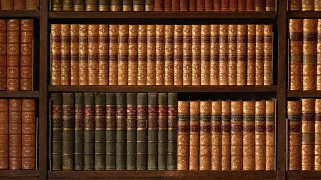 Nesargi Law Group-Intellectual Property Law Services
