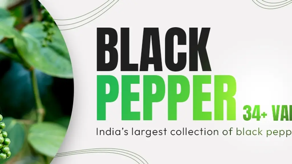 Pepperhub