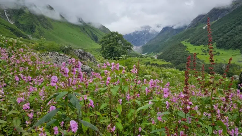Spiritual Hikes