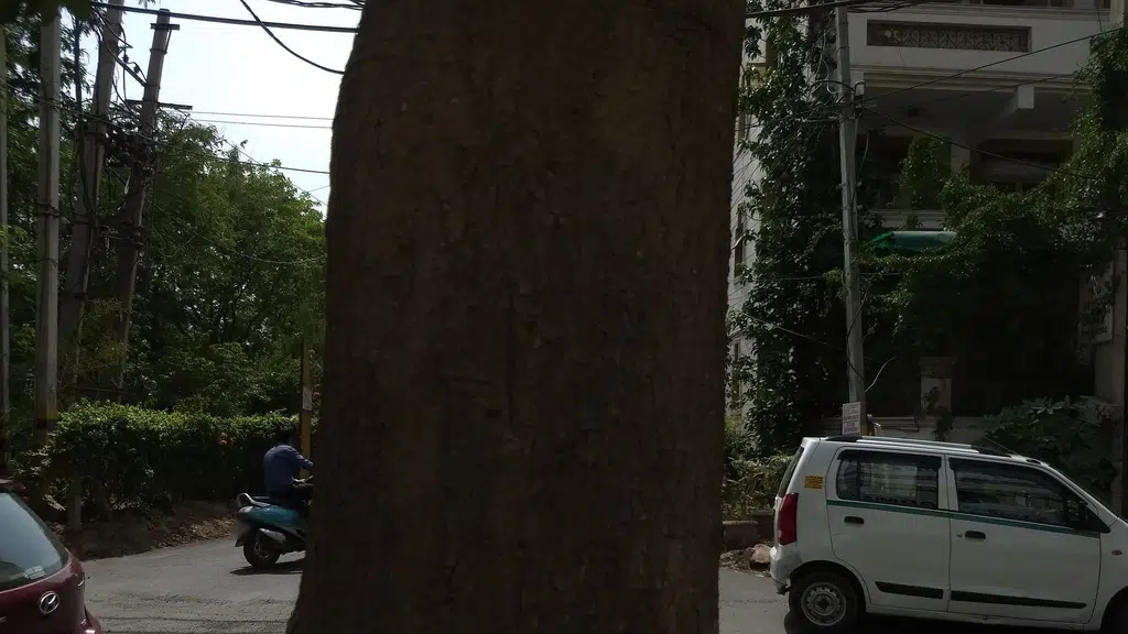 Neha Massage Parlour