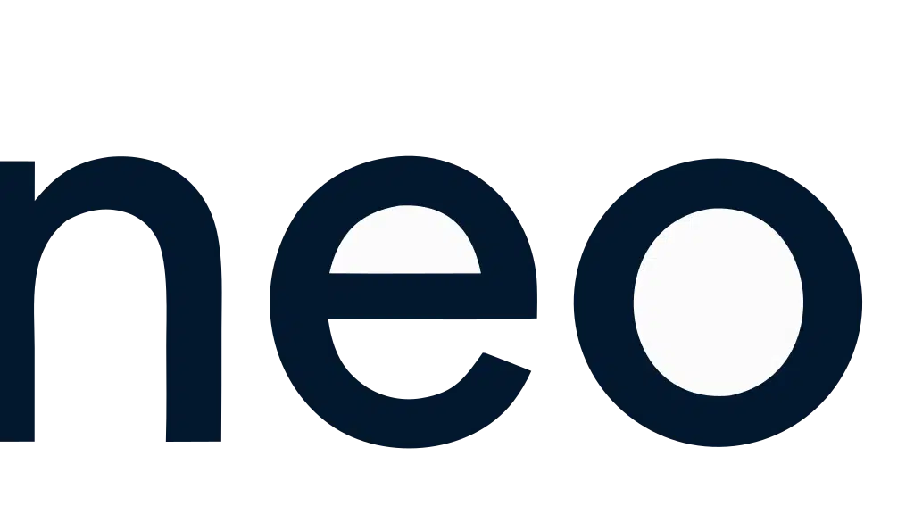 IntelliNeo IT Services Private Limited