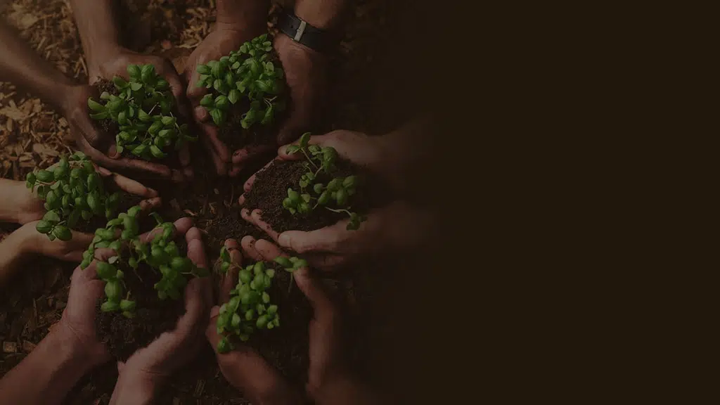 Pragati - Choudhari Agro Tech(I) Pvt Limited