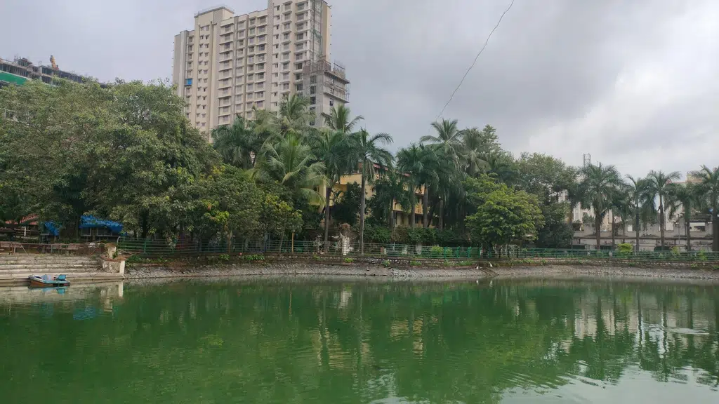 The Betel House