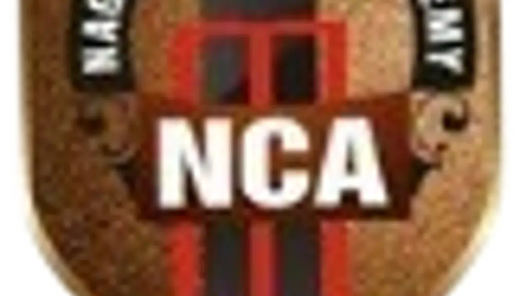 Nagpur Cricket Academy