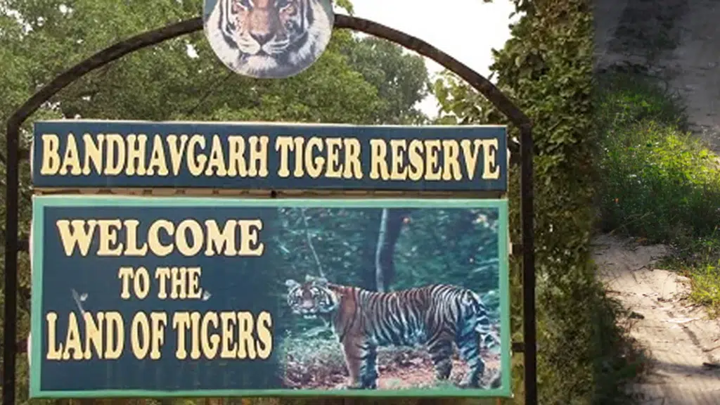 Bandhavgarh National Park