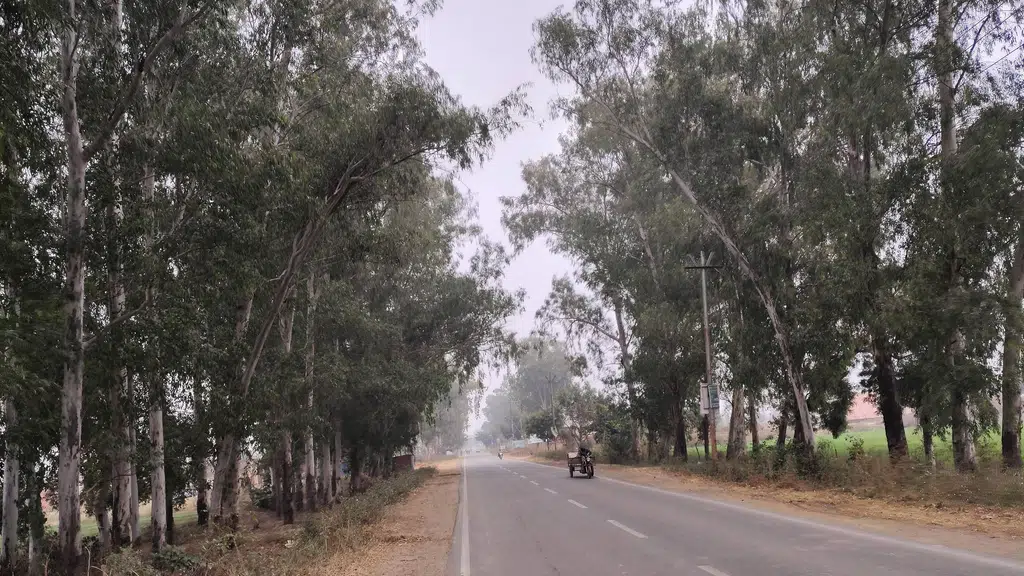 Chachura Bus Stop