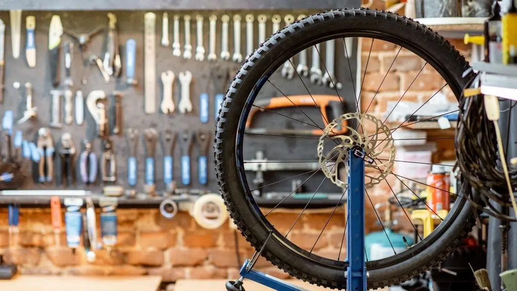 Ciclo Essentials HQ | Best Premium Bicycle Shop, Sales & Service