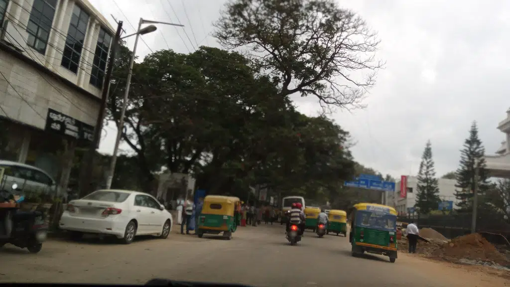 Travel Tours Millers Road
