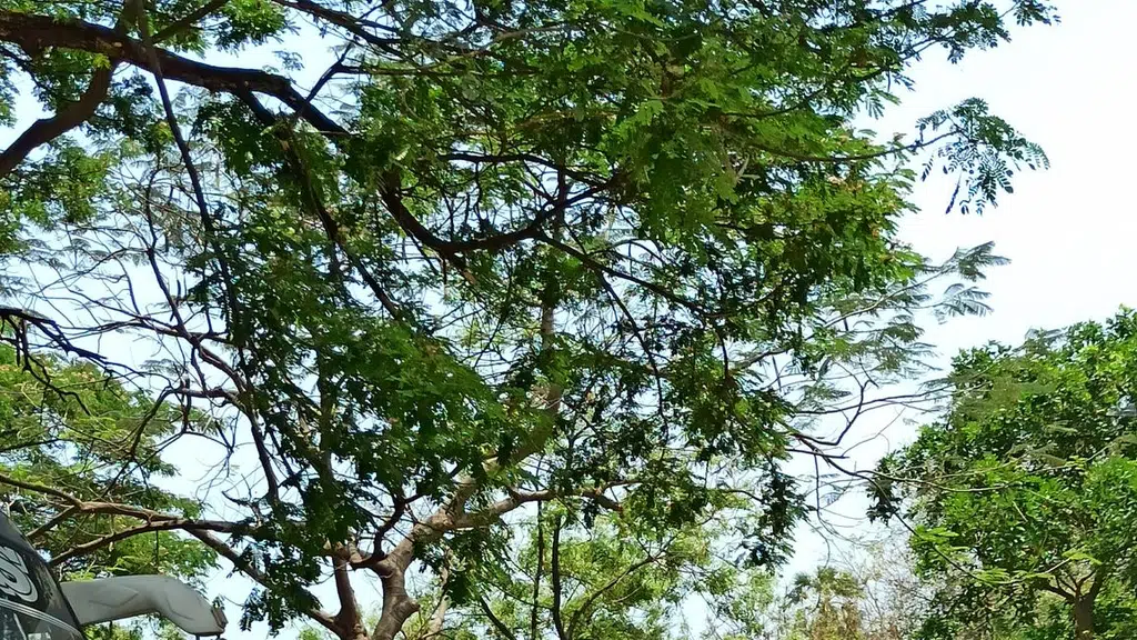 Sri Thulasi Vanamala Sri Venkatesa Perumal Temple