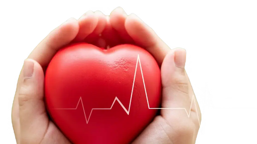 Saaol Heart Centre