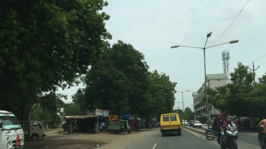 Century Ply - M J Traders