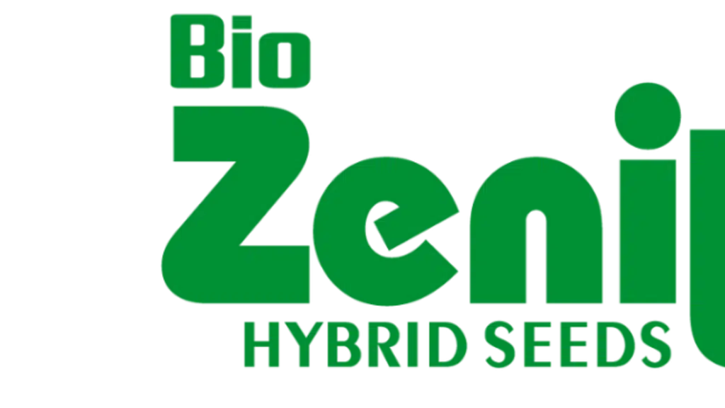 Zenith Hybrid Seeds