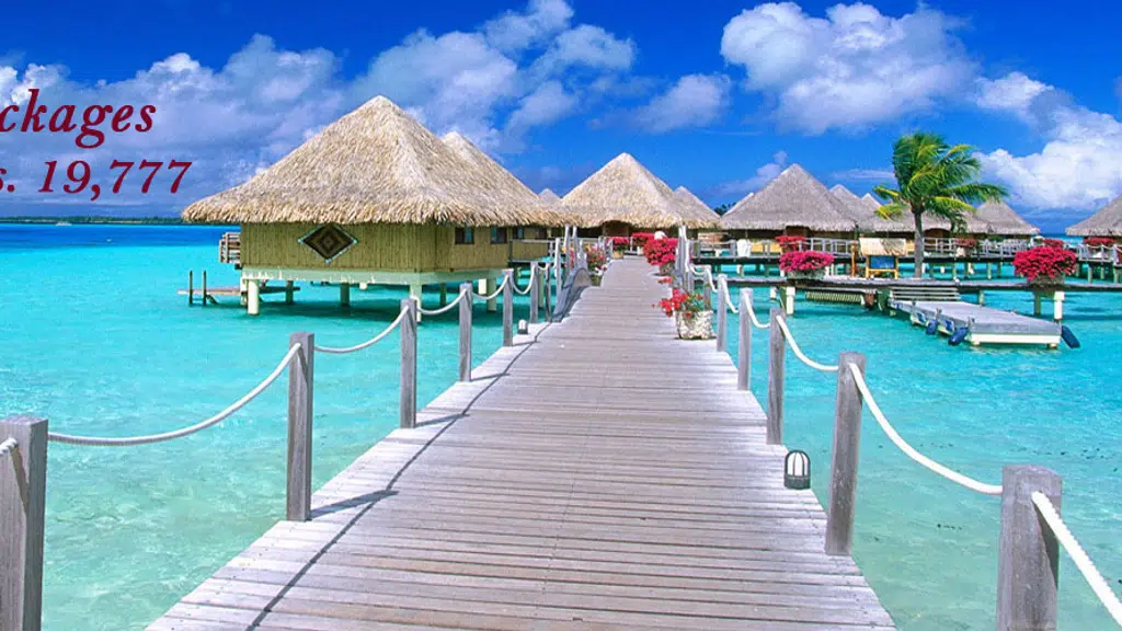 Colorfull Vacations