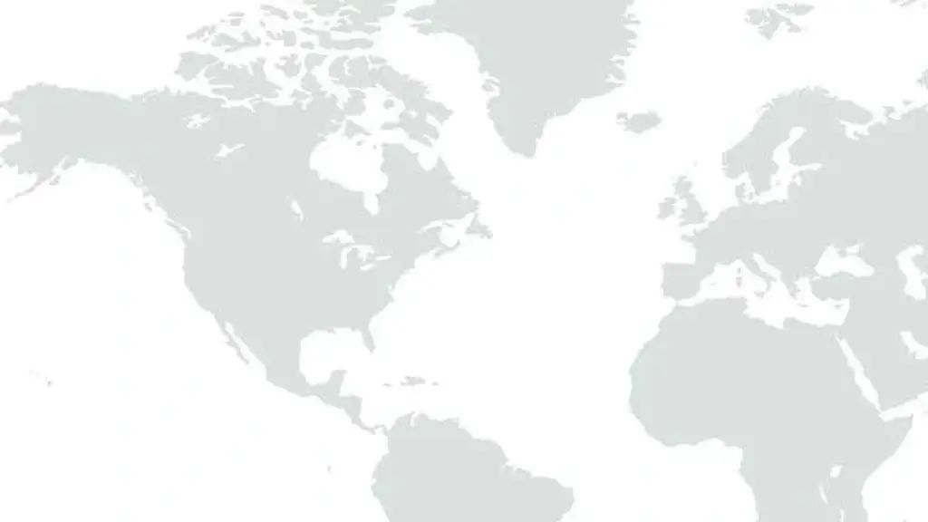 The Insight Partners
