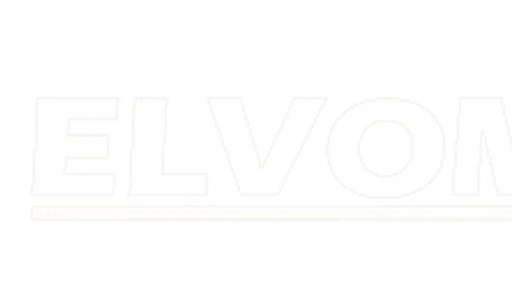 Elvomax India Limited