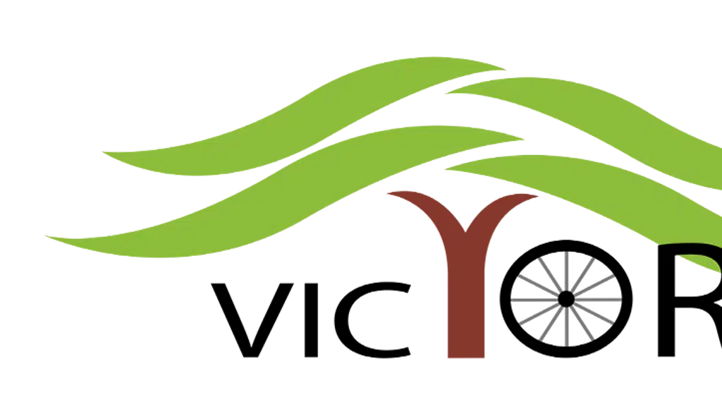 victory Electric International