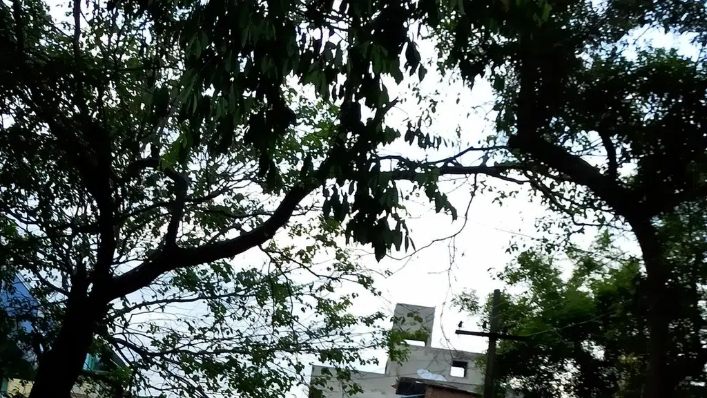 Apollo Pharmacy