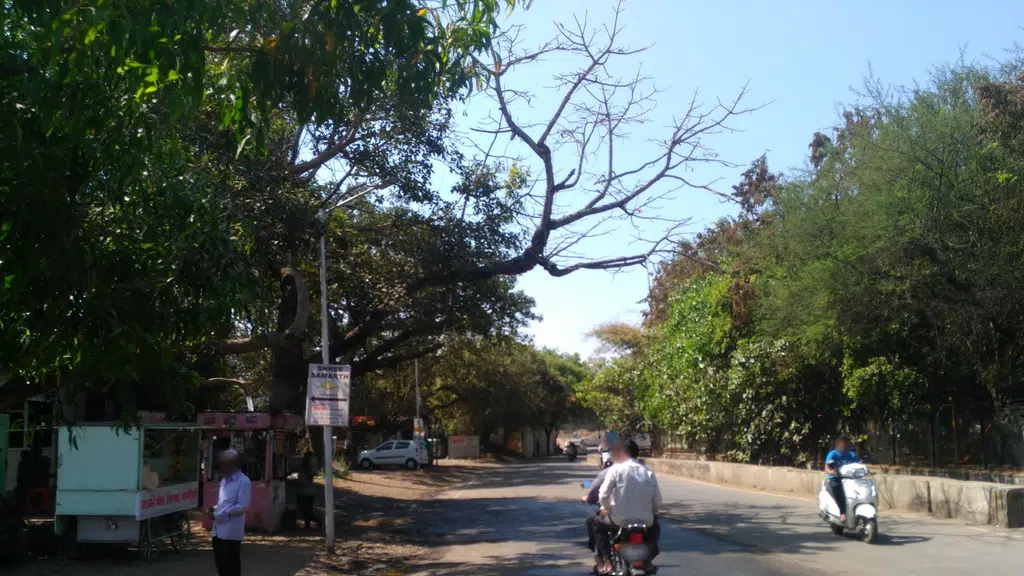 Katraj Lake , Pune