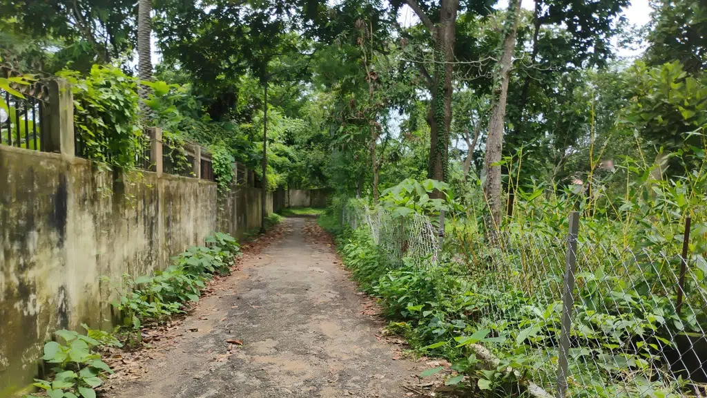 Gangalaya