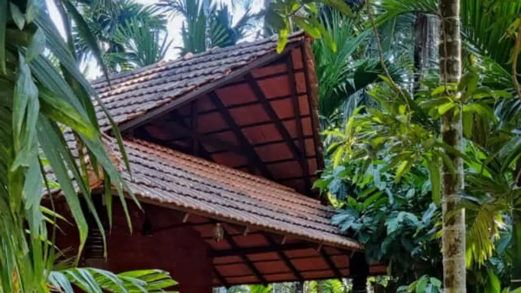 Areca County
