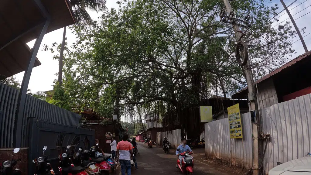 Fairfield by Marriott Goa Anjuna