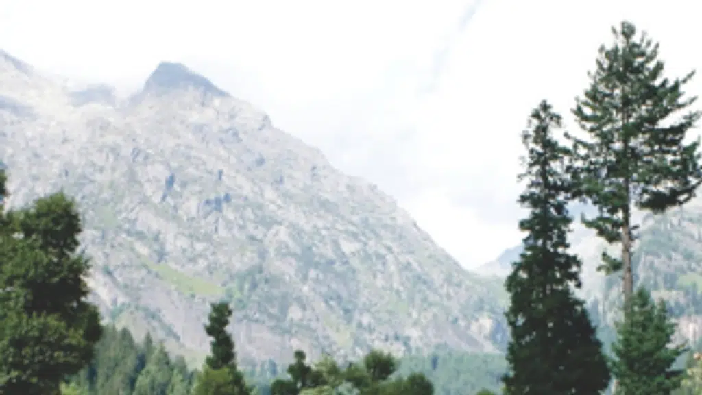 Kashmir Tourist