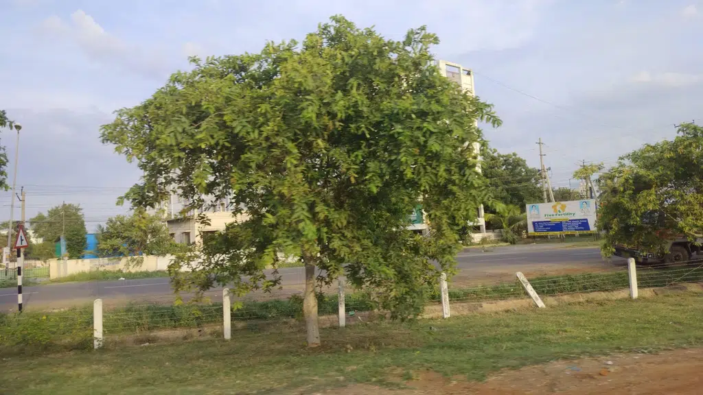 MVRao Diabetes Hospital, Mangalalagiri
