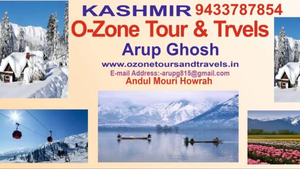 O-Zone Tours and Travels