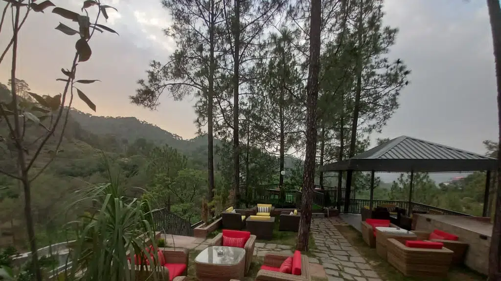 Orillia Kasauli