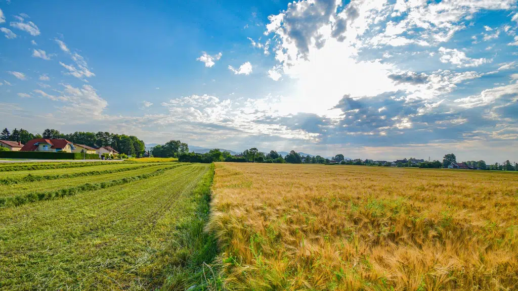 Dattaguru farm