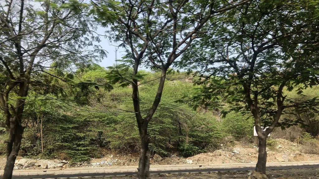 Nageen Junction