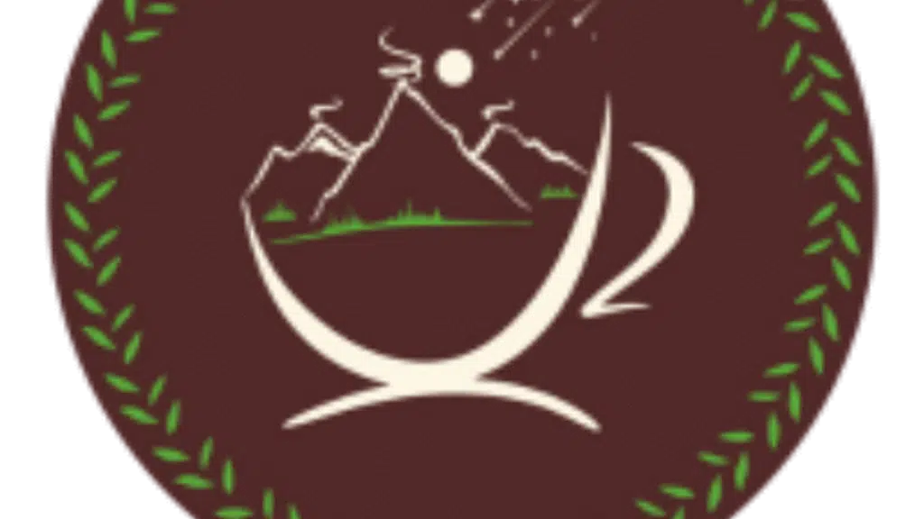 Feel Alive Camps