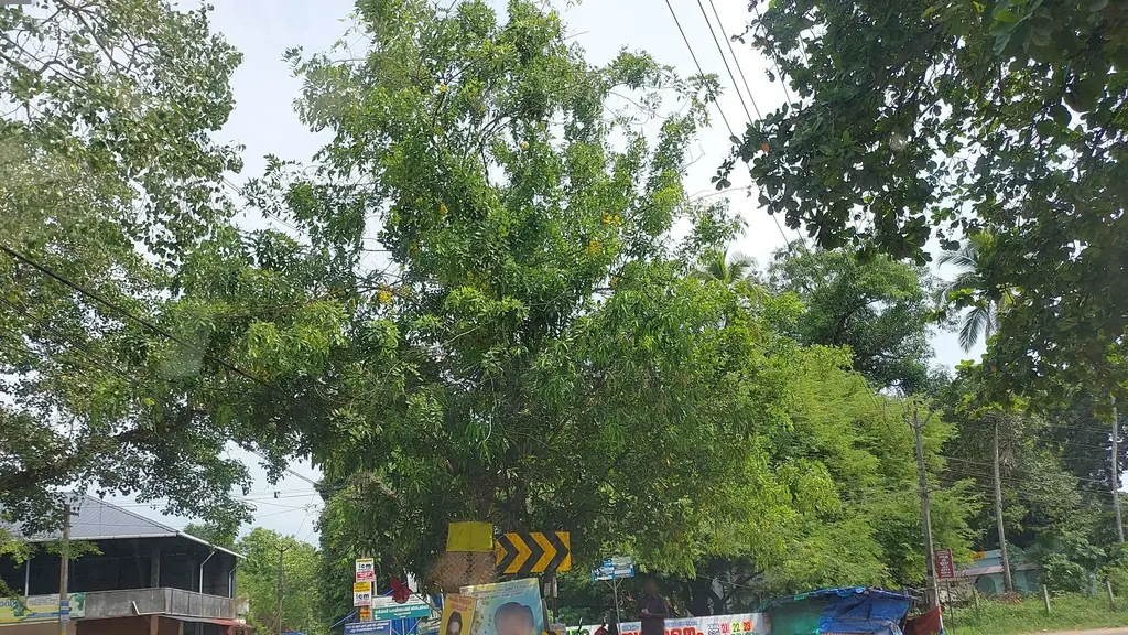 Koottummel Bhagavathy Temple