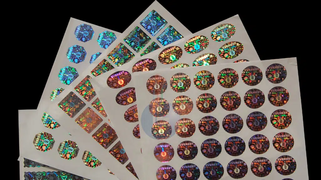Everest Holovisions Limited