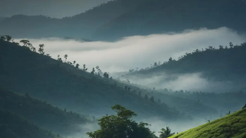 Zeezmount Resorts & Spa Munnar 