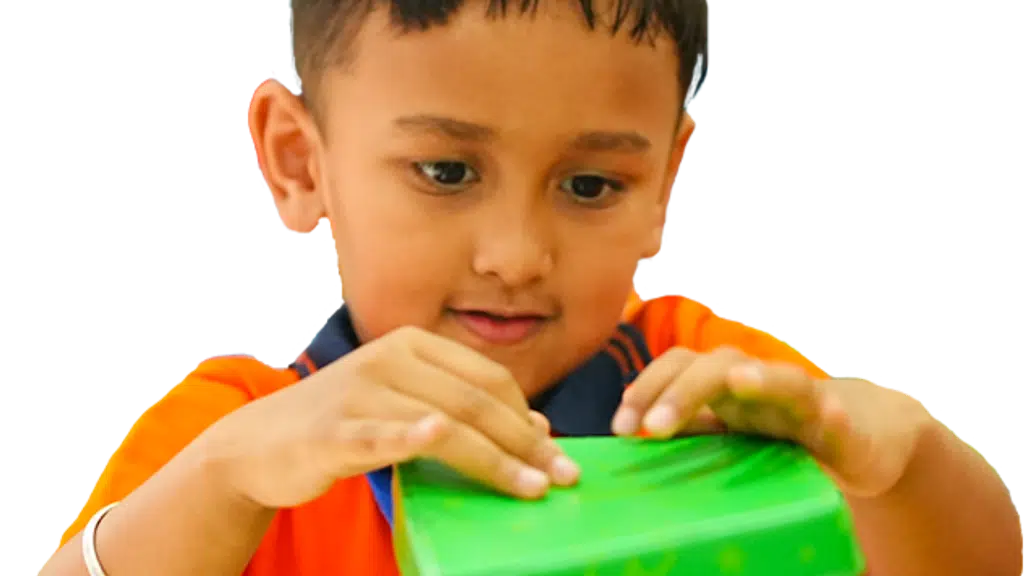 Modern World School