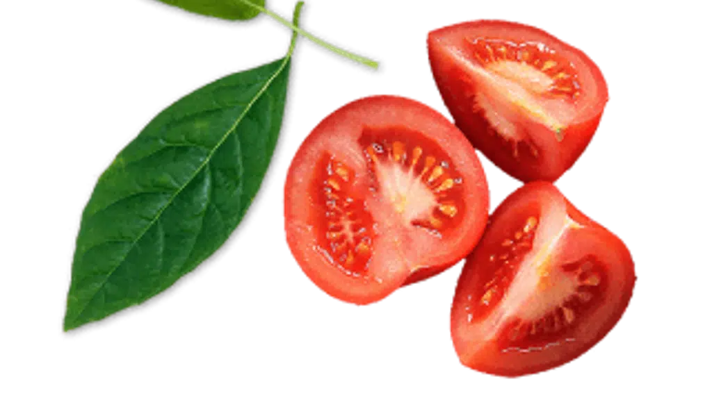 Bardhiya Agro Industries Pvt Ltd