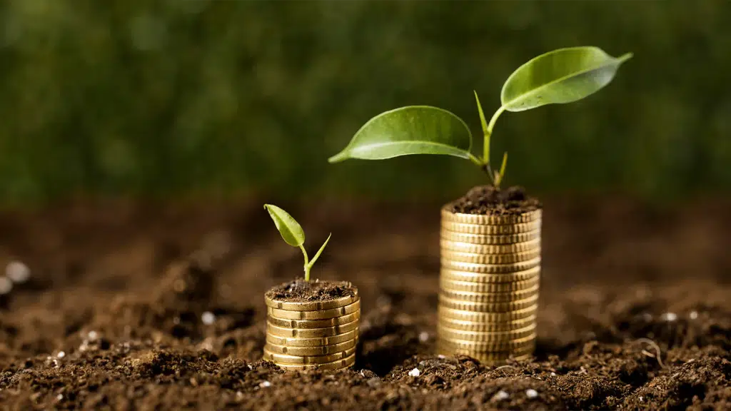Ahuja Valecha & Associates LLP