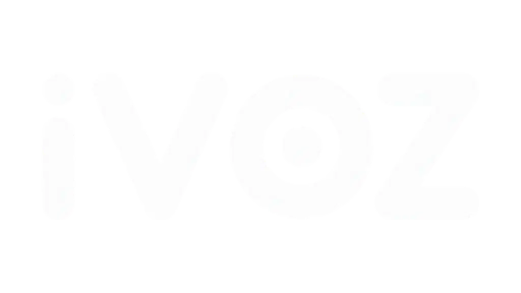 IVOZ Private Limited IT Services